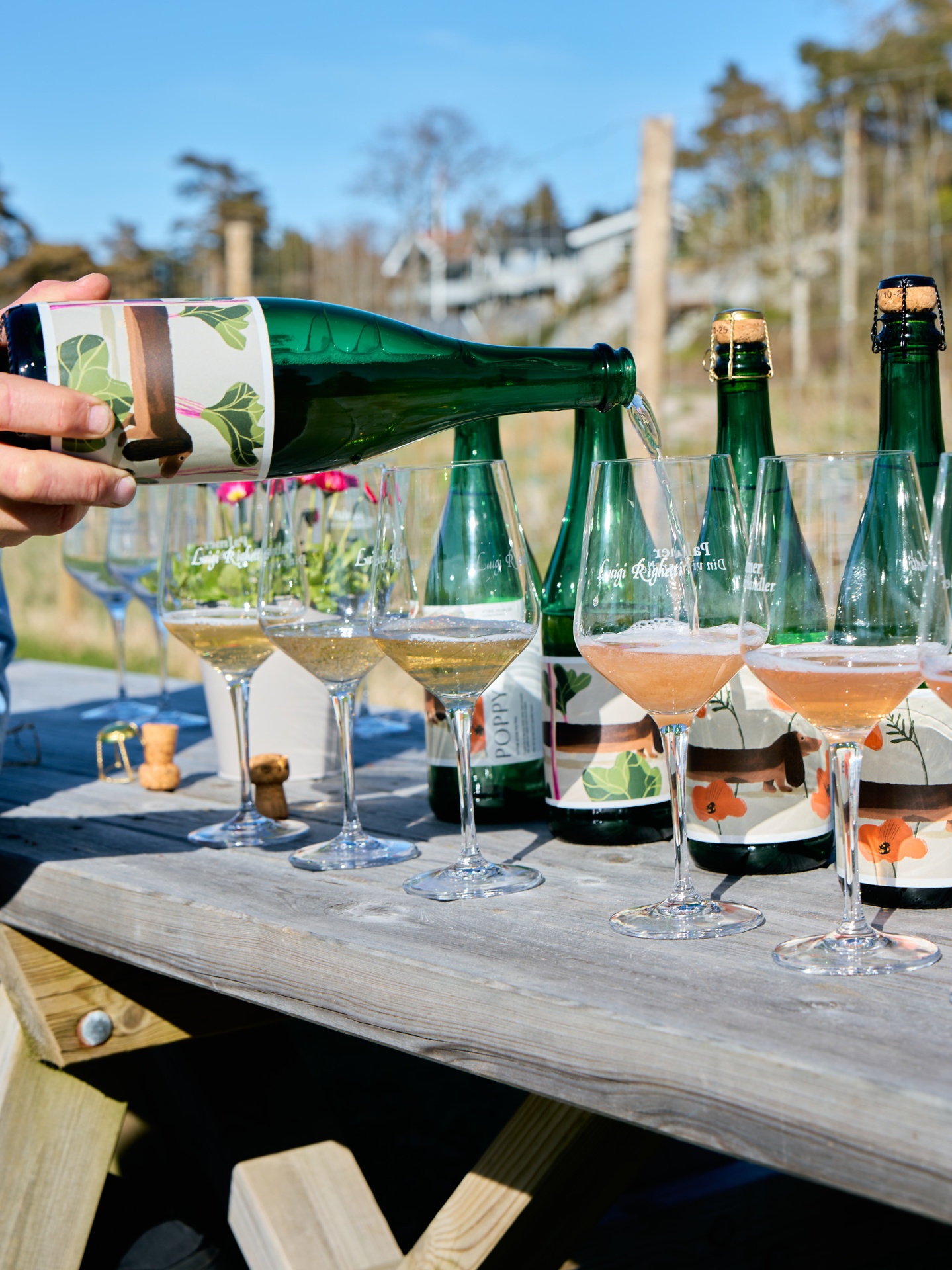 Bobler i solen · jordet